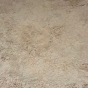 Meet your Posher, Ben